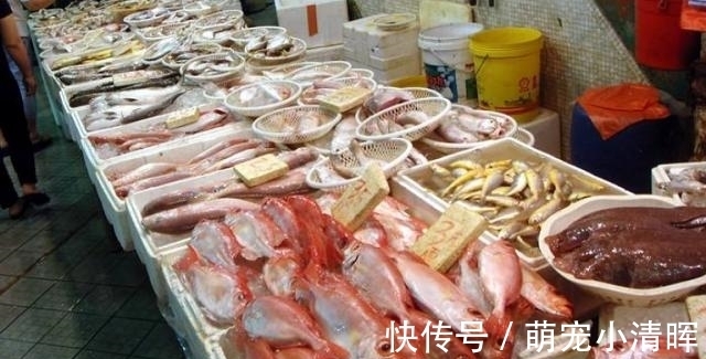 网评最好吃的“5种鱼”，鱼贩偷偷留着自己吃，识货的看到抢着买