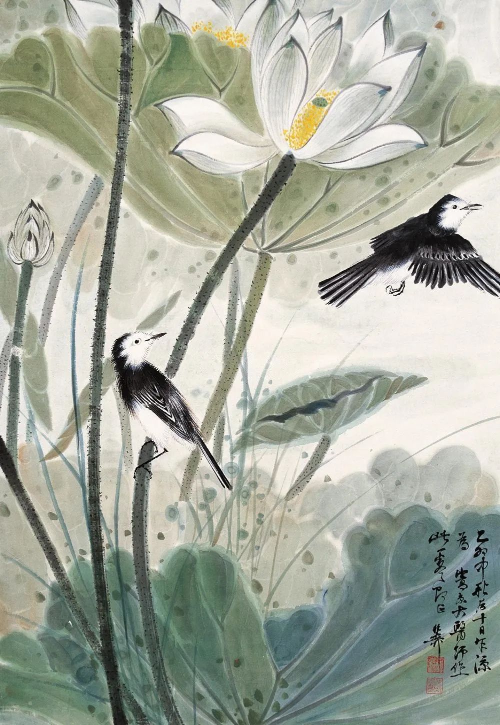 荷塘$谢稚柳的江南荷塘，美翻了