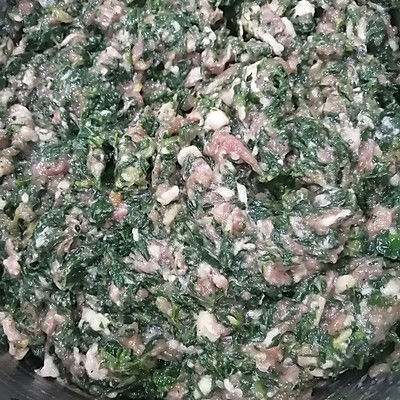 荠菜肉馅饺子馄饨