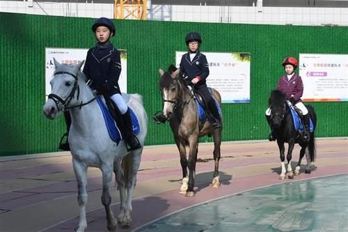 小小骑士进校园，水果湖一小举行马术公开课