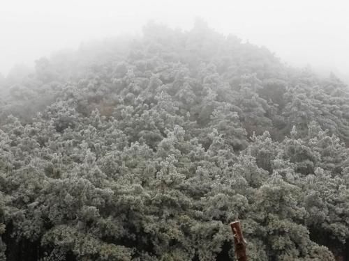 房前|朔风欲雪，绽放在曲靖、六盘水房前屋后的冰花，惊艳到你了吗？