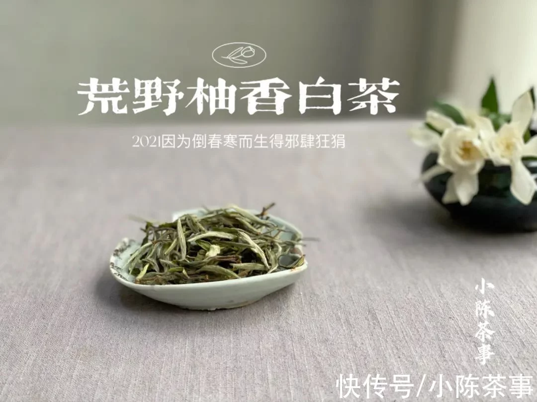 这才是我们小陈茶事的“双11”，是的，我们的，当然也是茶友们的