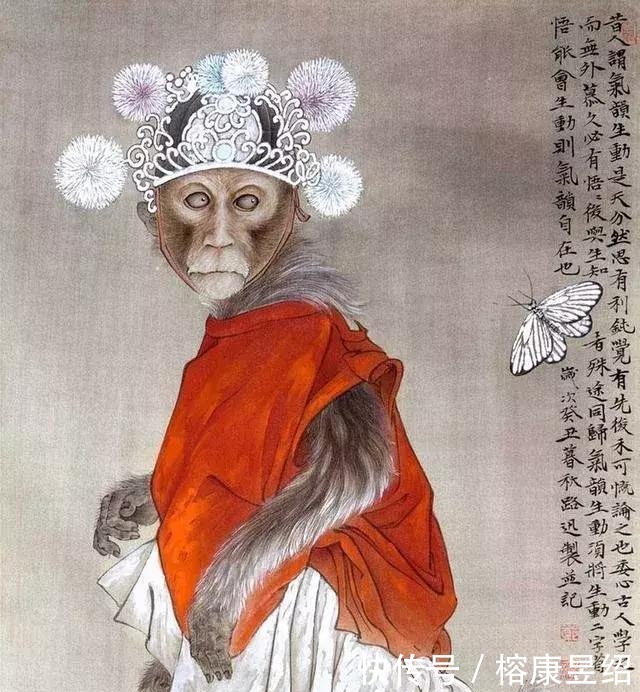 五品|唐朝一只猴子被封五品官?这不是虚构,它最后的壮举被人赞颂