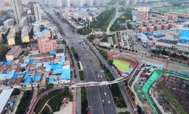 雨荷风韵|青未了/天桥