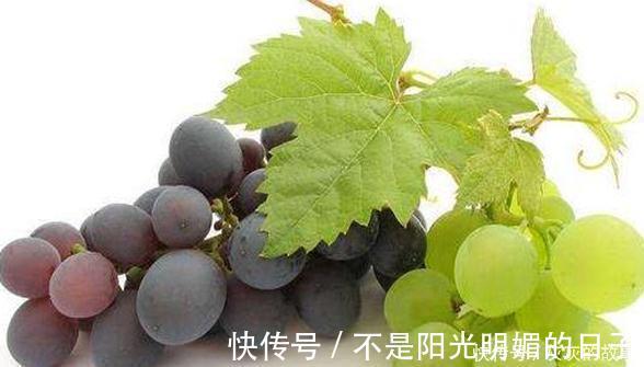 葡萄皮|胖人该“刮油”了，多吃以下食物，清脂刮油，排出宿便，减肥显著