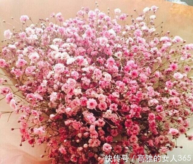 50种植物花语,不要再傻傻送错花了