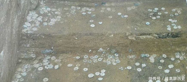 法门寺地宫开启瞬间,考古学家看到了什么