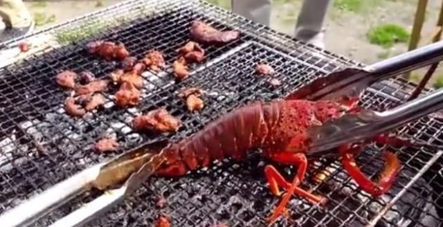 鲍鱼|烧烤架上几种“最调皮”生物，鱿鱼烤着烤着起来了，你吃得下几种