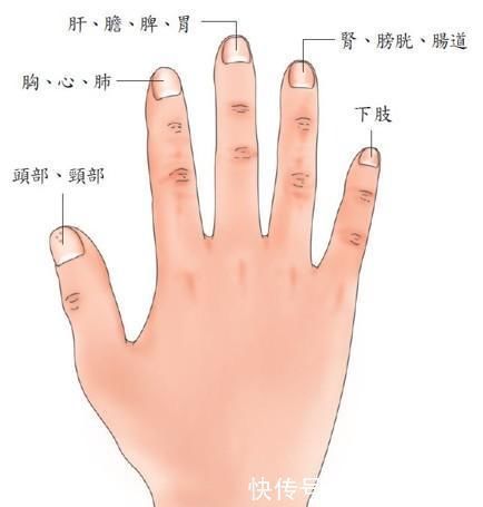 皮肤科|指甲这6个现象,暗示你生病了,要注意,第一个代表患有心脏病