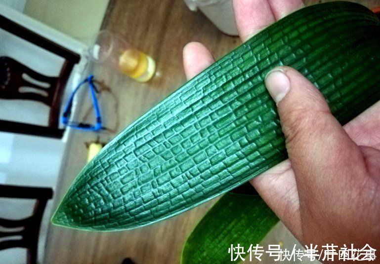 啤酒水|室内养花，喷上4种“水”，叶子油亮不发黄，冬天也生机勃勃