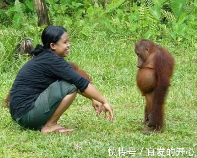 |「被窝段子20220131」生活嘛 慢慢来 所有的好运都在路上