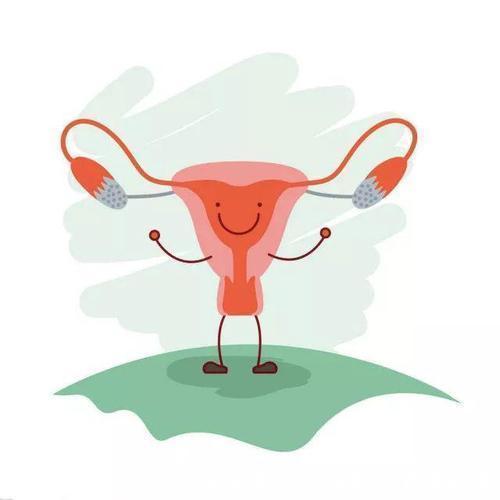 育龄|女人停经并没有想象中那么简单,这些原因很常见