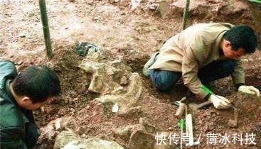 农家汉$他鱼塘挖到天价石头,专家:底下还有切记保密,他一守就是10年