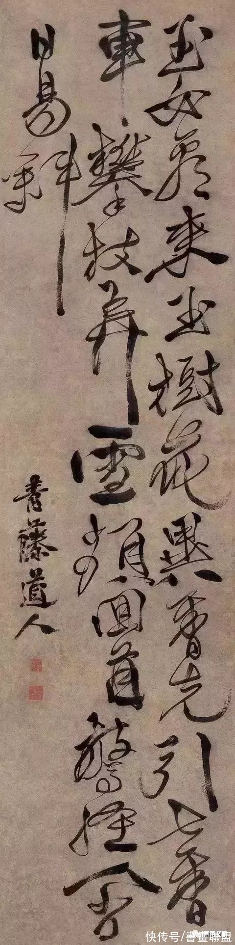 花鸟画$写意鼻祖:花鸟画——徐渭