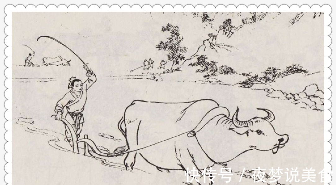 白翁@新聊斋老农救一只黄鼠狼,儿子获对方报恩,娶3个美女为妻