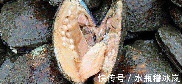 农民|农民钓不到鱼一气之下竟然把池塘水抽干，挖出的东西让渔民笑翻了
