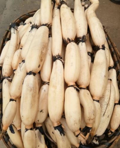 膳食纤维|明日末伏,记得多给家人吃“这4宝”,顺应时节,精神饱满一整年