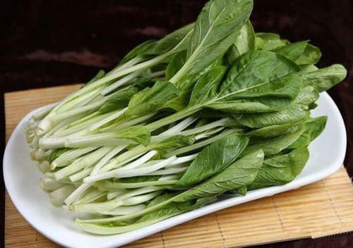 人到中年，常吃几种食物，滋肝补肾，清热排毒，滋补身体