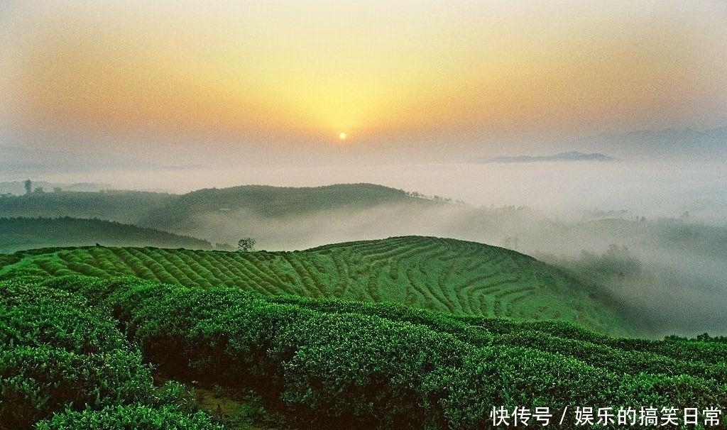 故都的秋$五首最美茶诗:茶香馥郁环绕,品茶亦如品人生