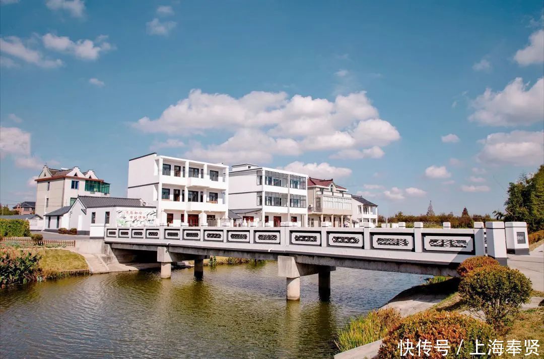 四团这个村获评“最美宅基”,美不美,看图!