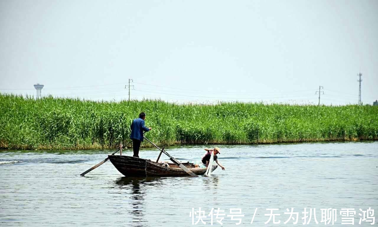 三面观音|游白洋淀赏荷花, 寻找嘎子哥的影子