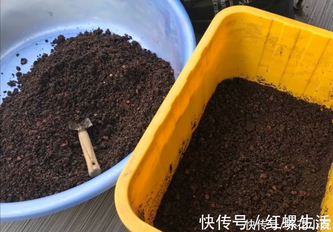 松软|营养土不用买,几种材料掺一起,养分充足又松软,适合养各种花