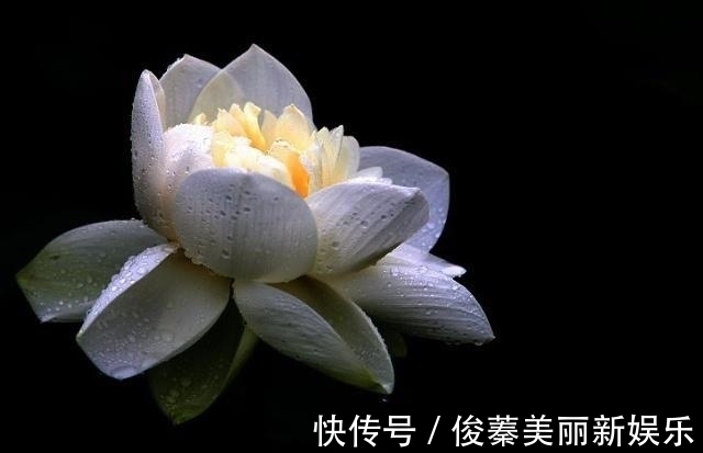 朋友之间|做人,若是理不清这三种关系,人生会很苦