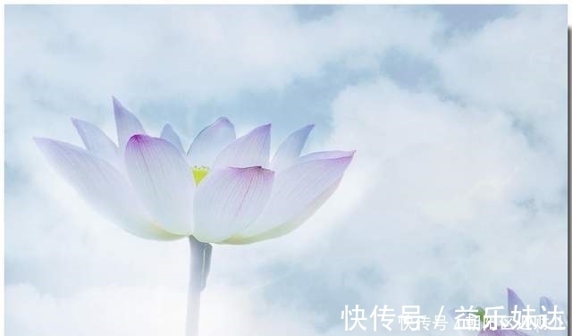 梦溪笔谈!易经:一个人常常沉静,虚空自己,则有如神助