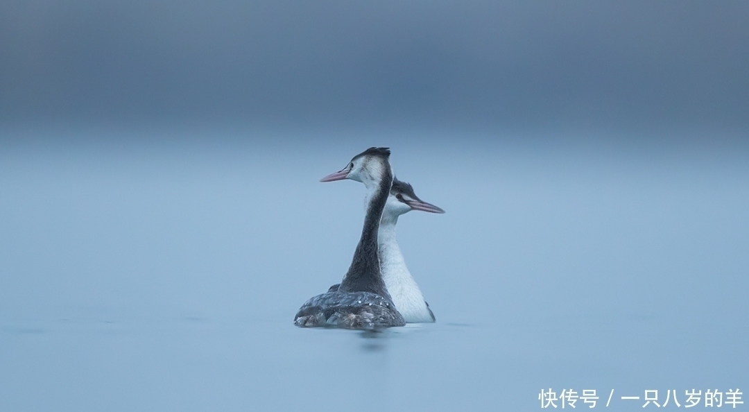 白话文|两情相悦的诗句有哪些，精选十五句带白话文意思及翻译