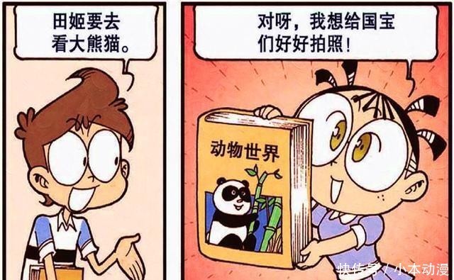 美梦成真!星太奇穿越“二维世界”实现三大梦想,但奋豆却落了空