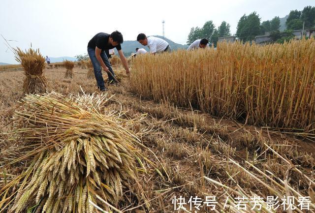 食管|长期吃面条对身体到底是好还是不好？医生直言：注意3点就可以