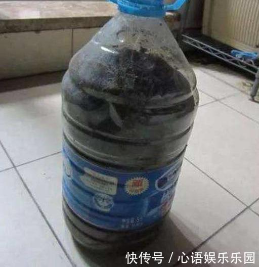 花肥其实自己就能做,省钱又好用,养花效果棒