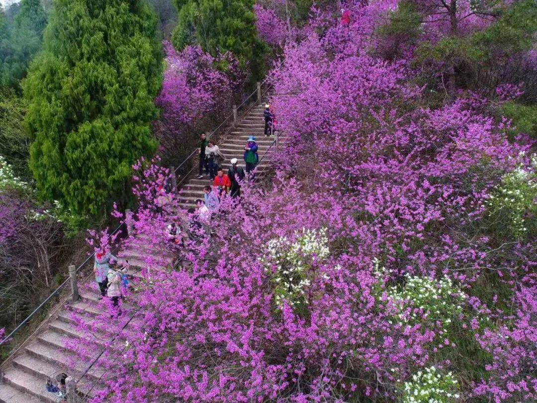 天台赤城山红了! 你还不知道吗?