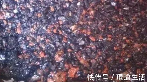 家中的花总是“烂根”养不活盆里加四样东西，根旺花不断