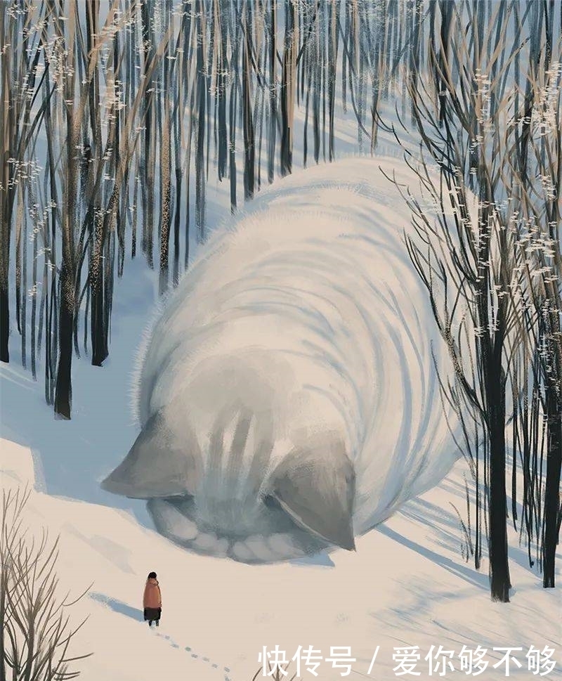 插画|三组各具特色的动物插画,看完很治愈~