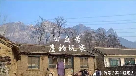 崖壁上的崖|崖柏为什么真贵?看完你就知道了!