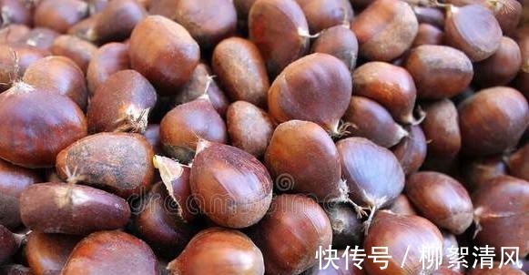 黑生虫|保存板栗不要直接放冰箱,良心果农教你一招,放一年也不发黑生虫!