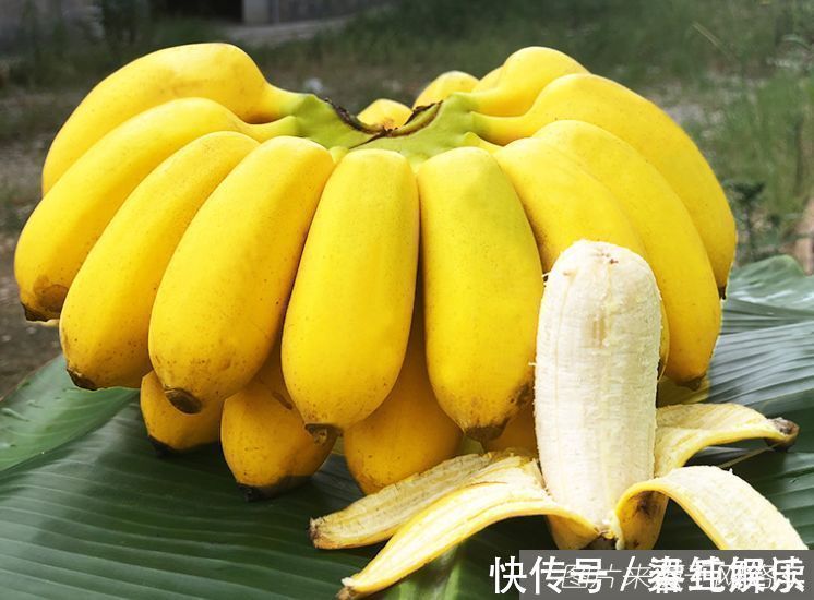 消炎|人要长寿,多吃3种食物,杀菌消炎、清热解毒,润肠通便,试试看