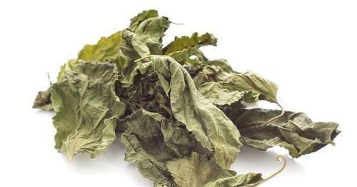 效果|桑叶又称“神仙草”，老中医这样吃桑叶，降血脂效果明显