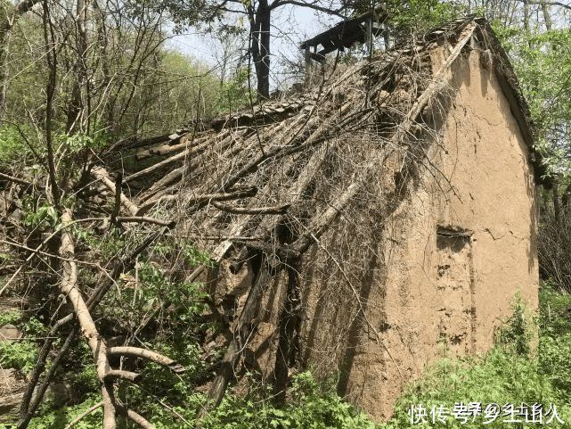 四条腿&“家有五物不外借,借后招灾又惹祸”,啥意思?指的是哪五样?