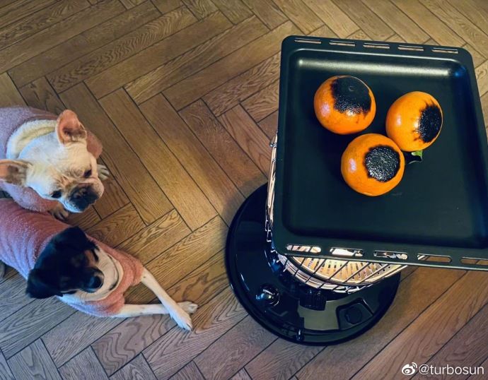 孙俪分享养生橘子新吃法，看到铁炉上有几个橘子时，网友：“可怜”超哥了