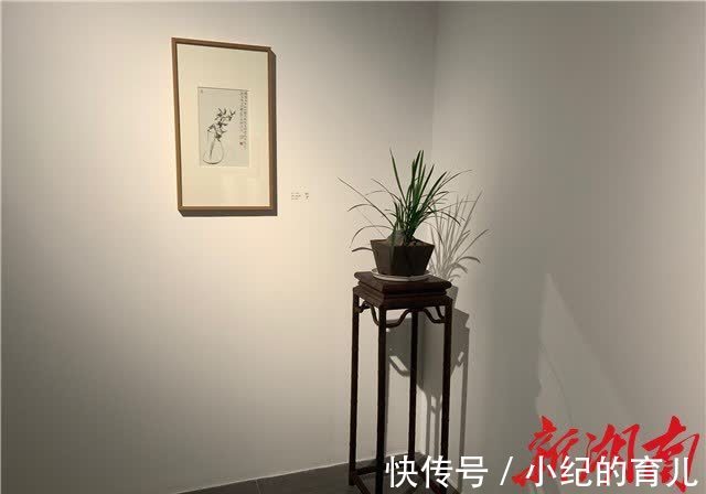 湖南省$品味兰花之美，《初无意——刘小平作品展》开幕