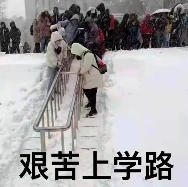 快乐|两个下雪热搜！南方大学生：是我体会不到的快乐...