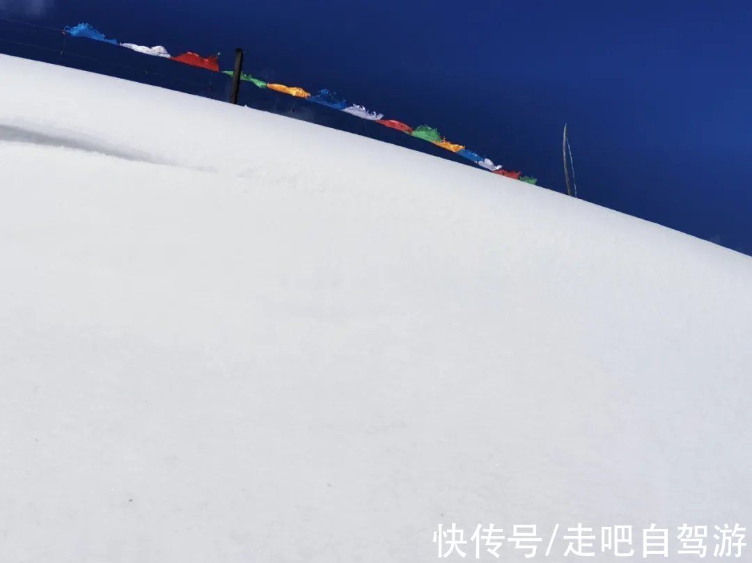 神仙包|春天第一站就去这里！醉春天之川西花海、雪山、冰湖七天之旅