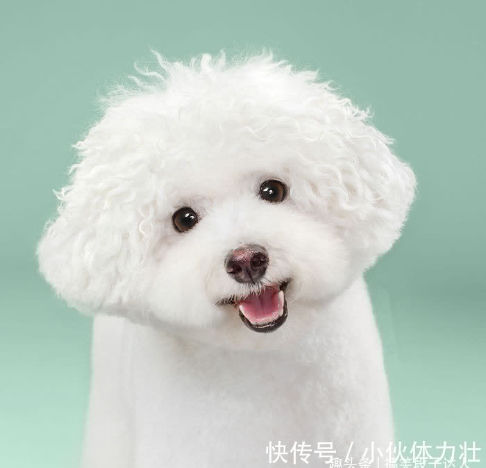 |爆笑幽默:奶奶是自己班主任,常常跟奶奶在班上顶嘴,直到有一天