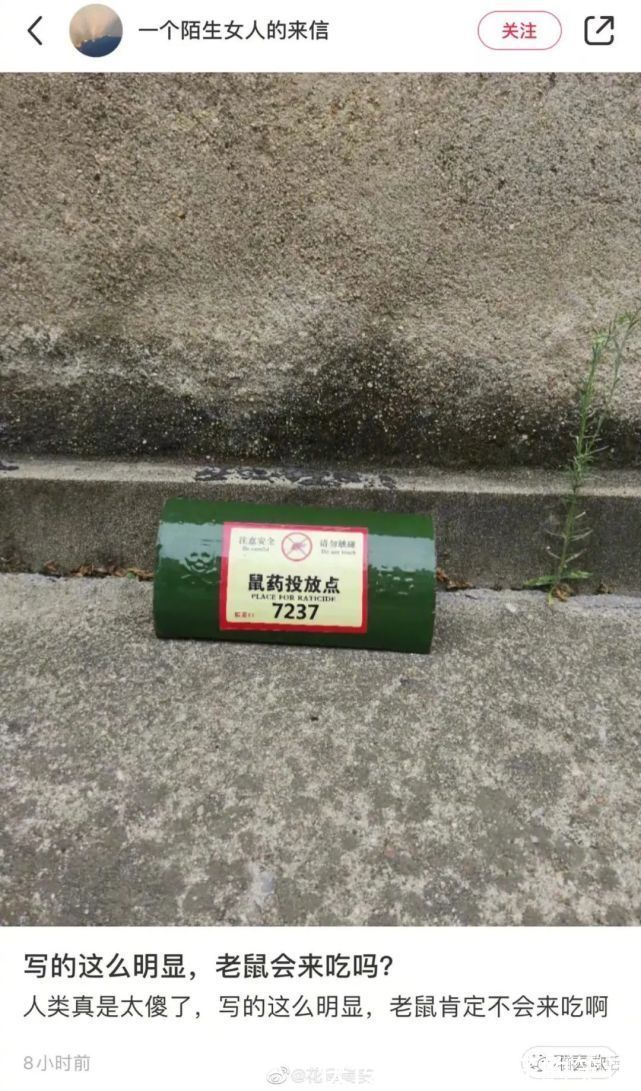 云龙兄|“千万别乱尝试新的装修风格!”哈哈哈哈哈哈网友亲身经历笑疯我!