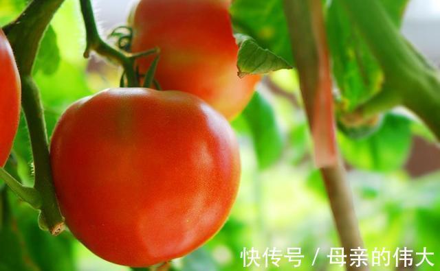 胎儿|这6种蔬菜或会影响到胎儿的发育,不适合孕妈吃,很多人都不知道