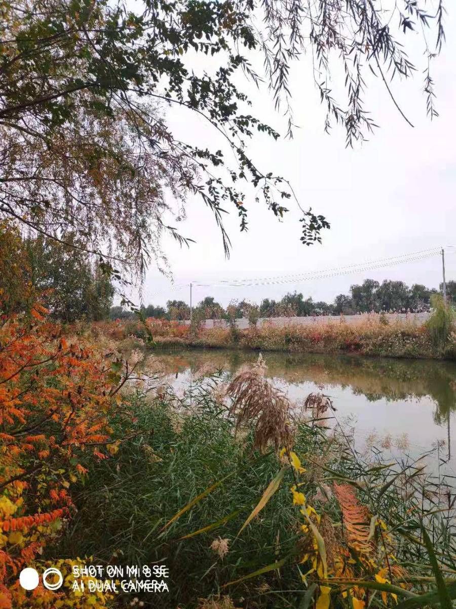 教科书&我们怎样教语文