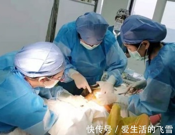 医生|“为什么你宁愿选男医生,也不让我备皮”宝妈的回答让丈夫惭愧