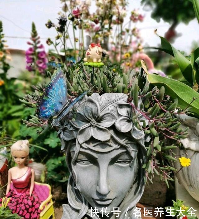 大叔的花园,亮点多多,惊艳了我,难怪大家都夸他太有生活情调了!
